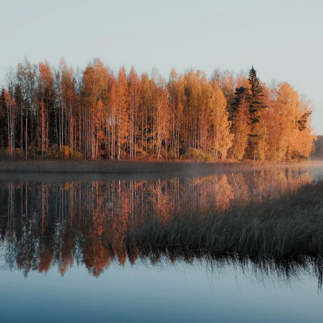 📸 Natur